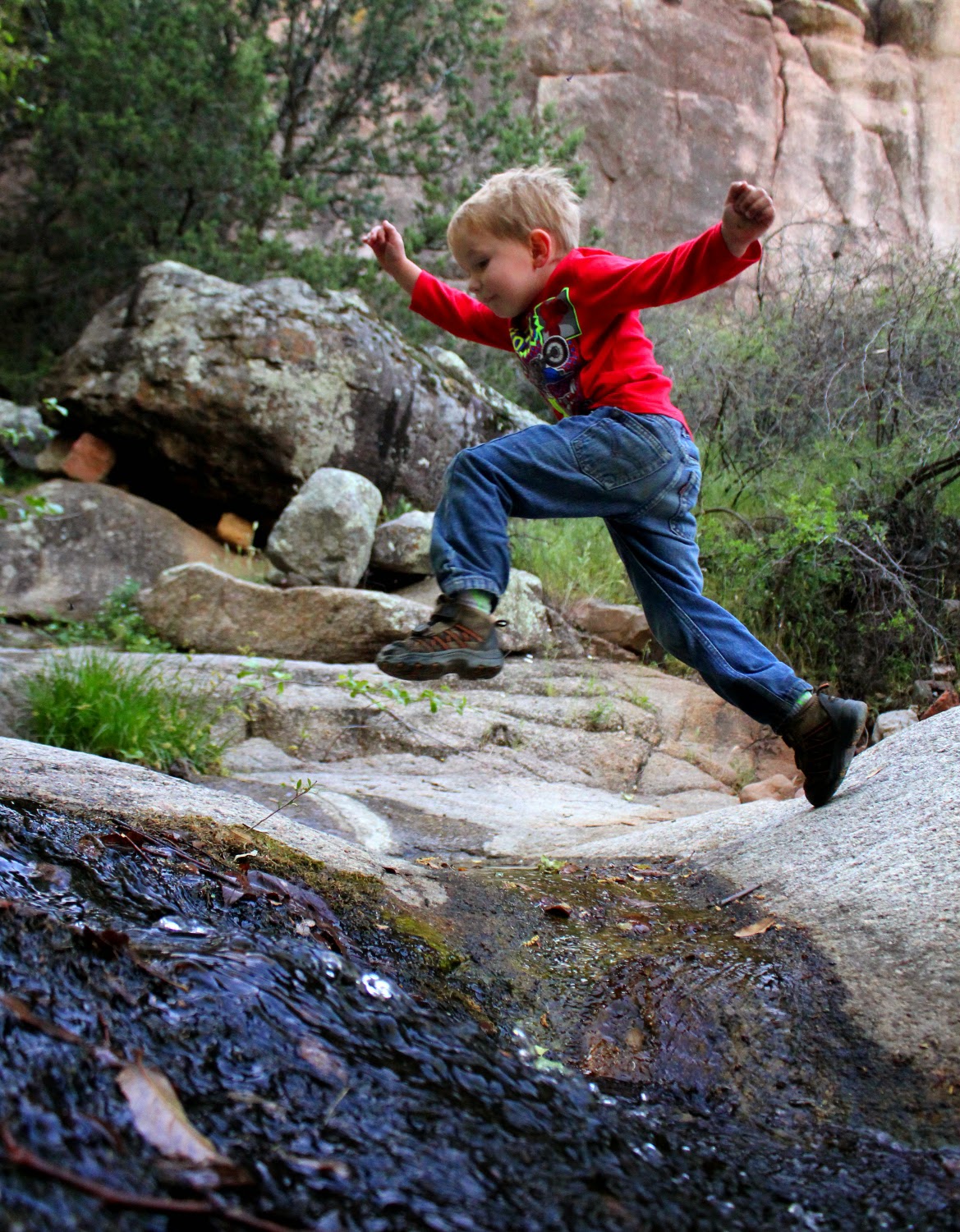 IMG_3682.JPG height=640